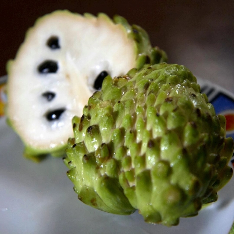 Кивано зеленый дракон