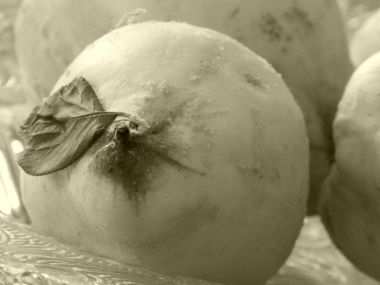 Фрукт похожий на яблоко