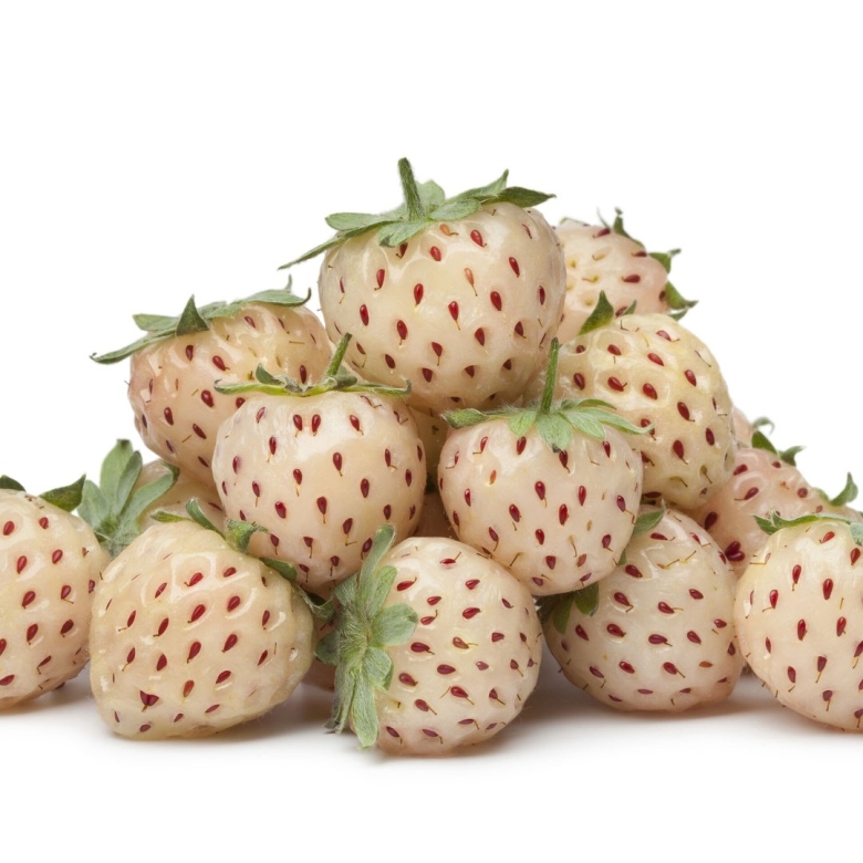 Земляника Ананасная Пайнберри