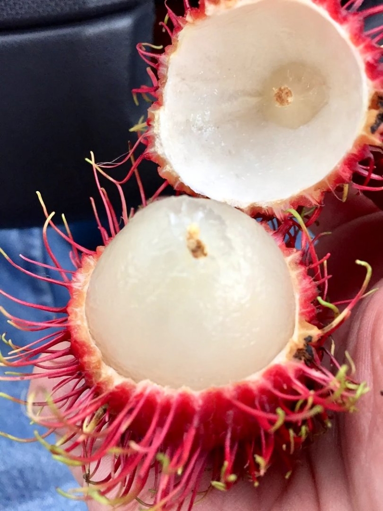 Маракуйя рамбутан