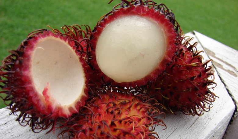 Экзотический фрукт рамбутан