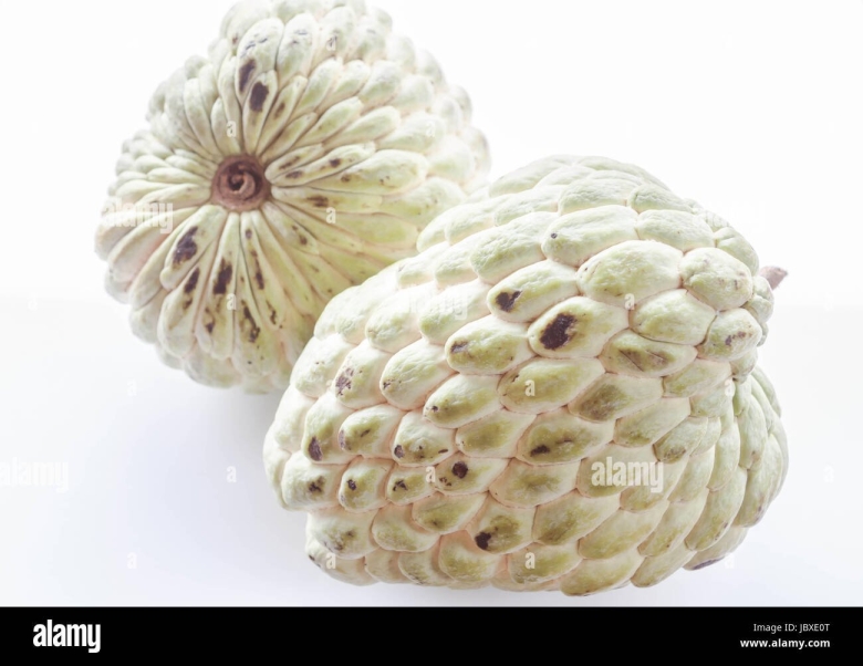 Белый фрукт название