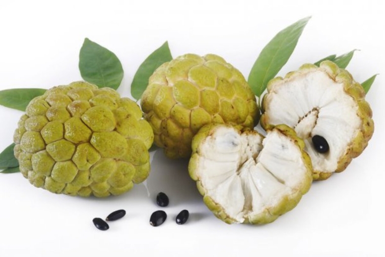 Аннона сахарное яблоко