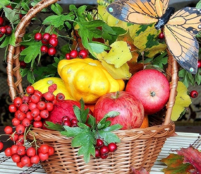 Осенние дары природы