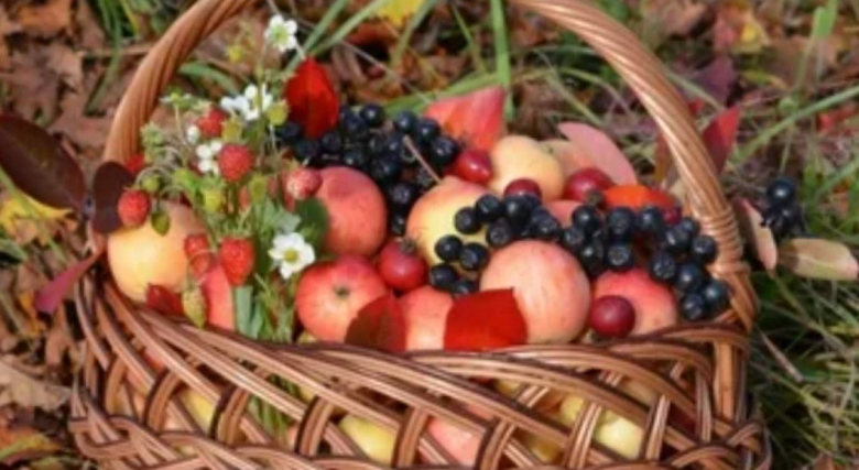 Корзина с ягодами и фруктами