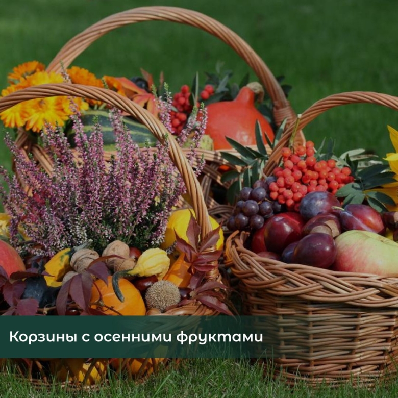 Осенняя корзина с фруктами и цветами