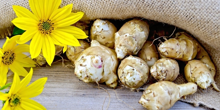 Клубнеплоды топинамбур