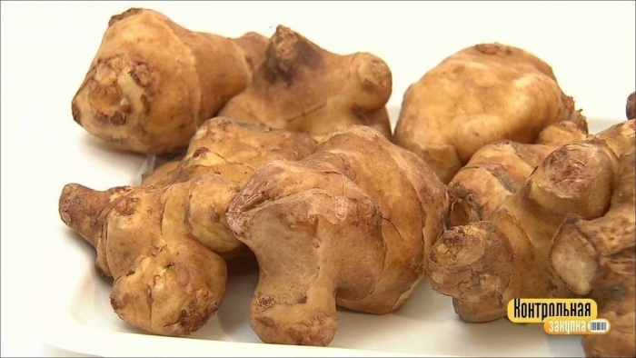 Земляная груша топинамбур