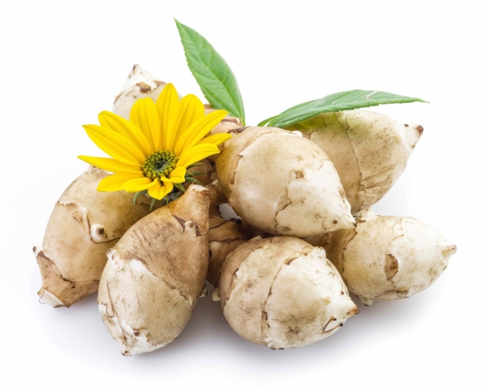 Топинамбур иерусалимский