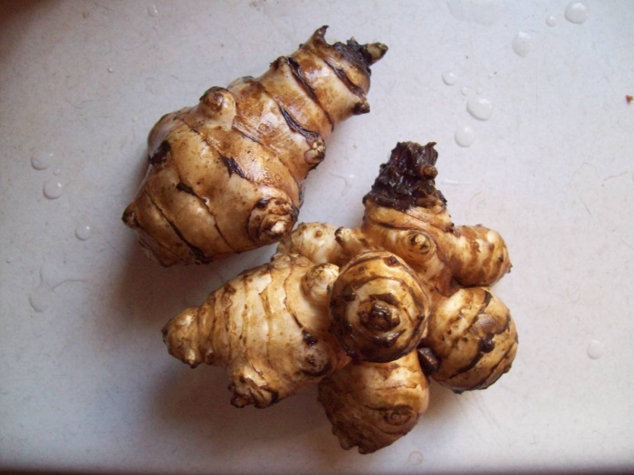 Корни топинамбура