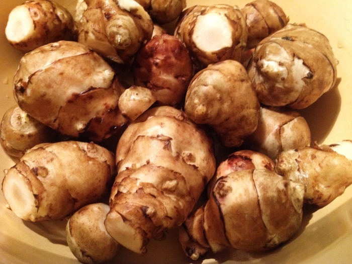 Дикая картошка топинамбур