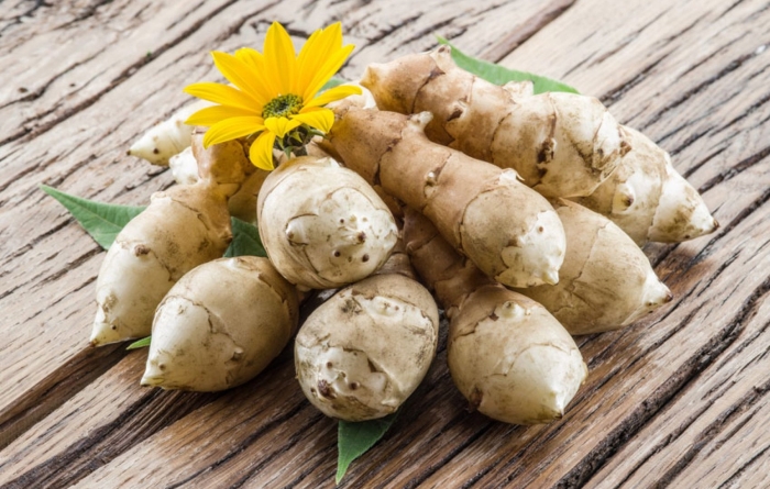 Земляная груша топинамбур
