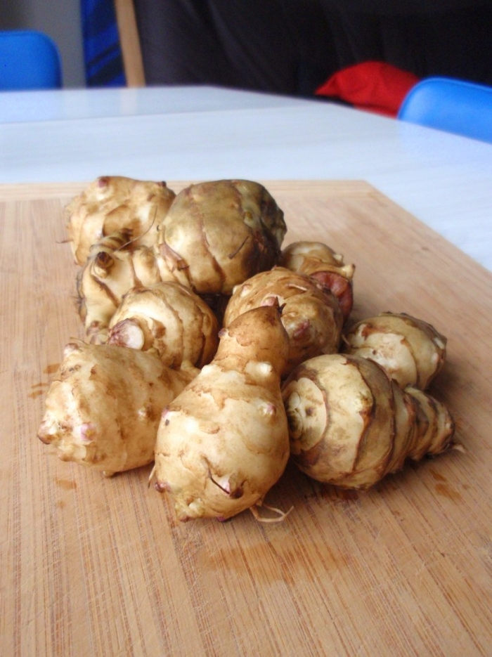 Земляная груша топинамбур