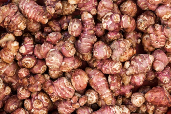 Земляная груша топинамбур