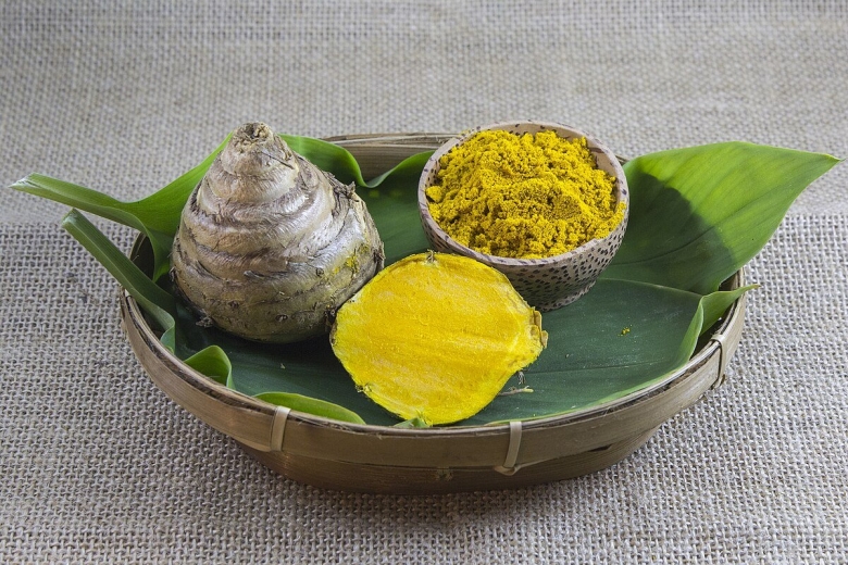 Curcuma xanthorrhiza Roxb