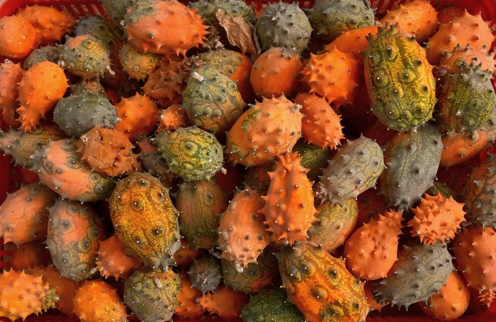 Колючий огурец кивано