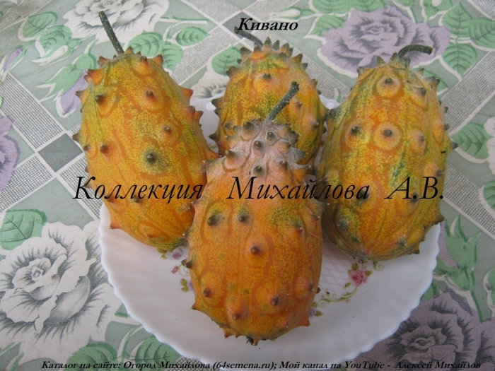 Кивано африканский огурец