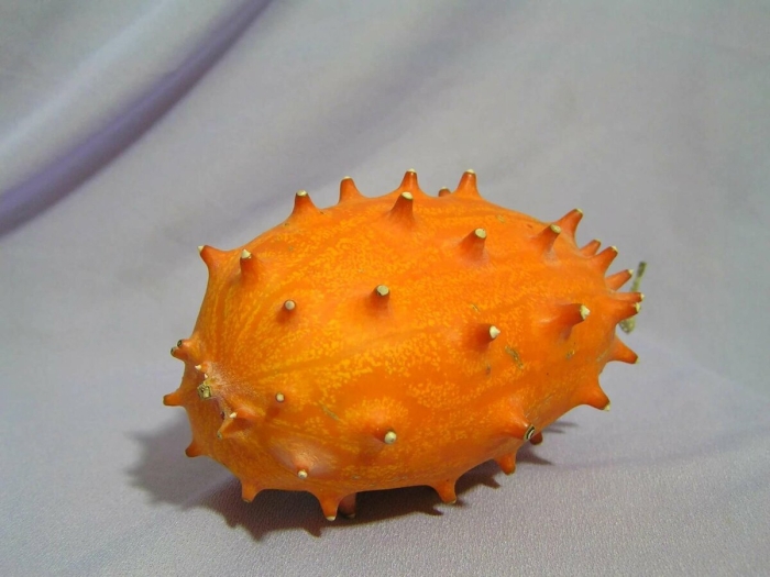 Африканский огурец кивано