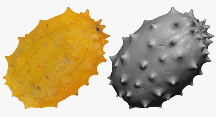 Кивано рогатая дыня