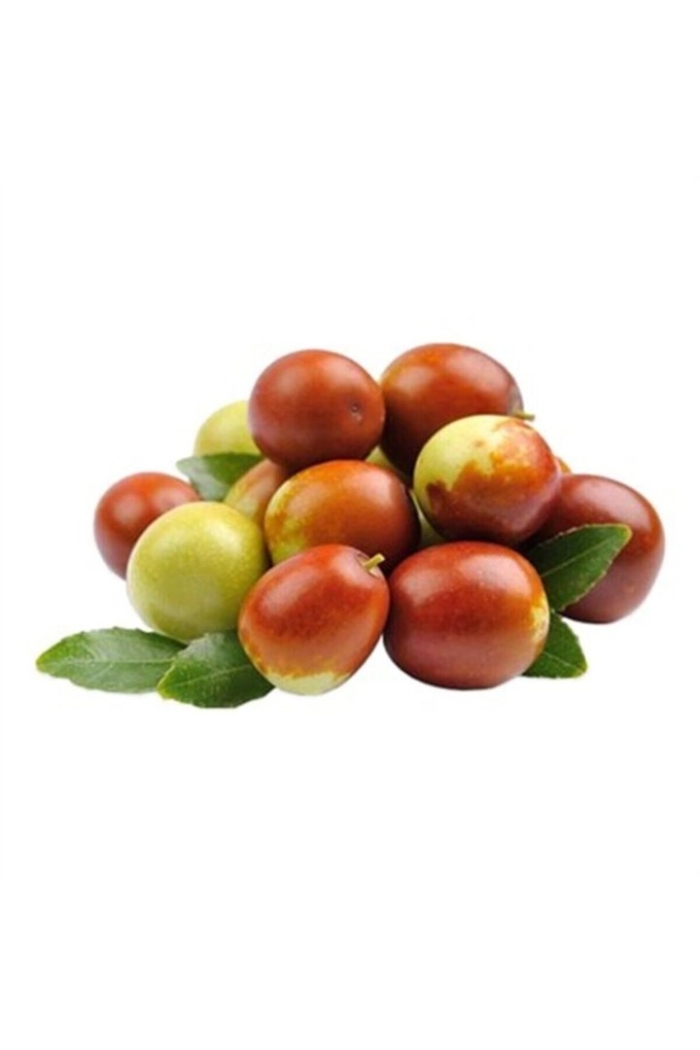 Зизифус унаби