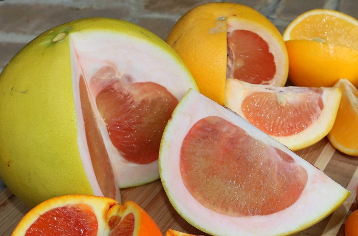 Фрукт грейпфрут