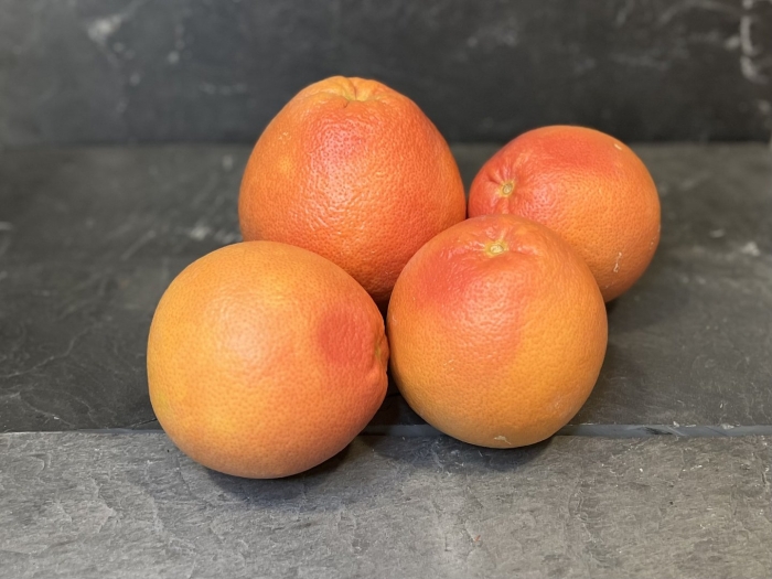 Sunny grapefruit