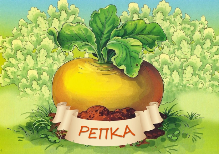 Сказка репка в земле