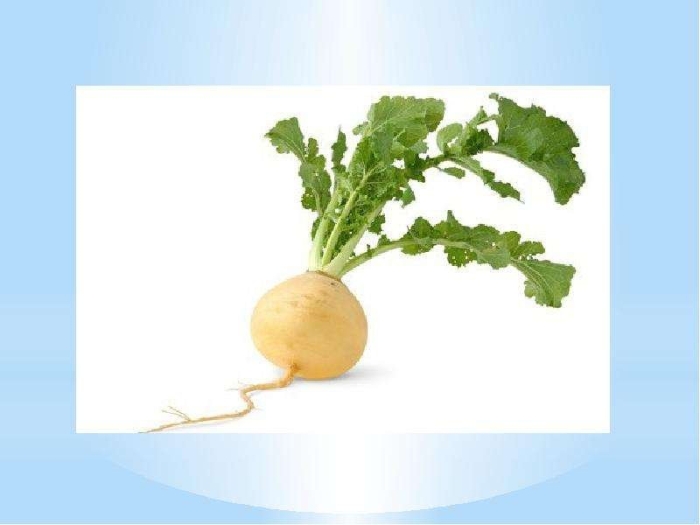 Турнепс ботва