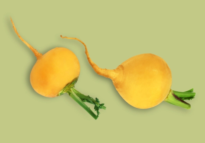 Репа желтая