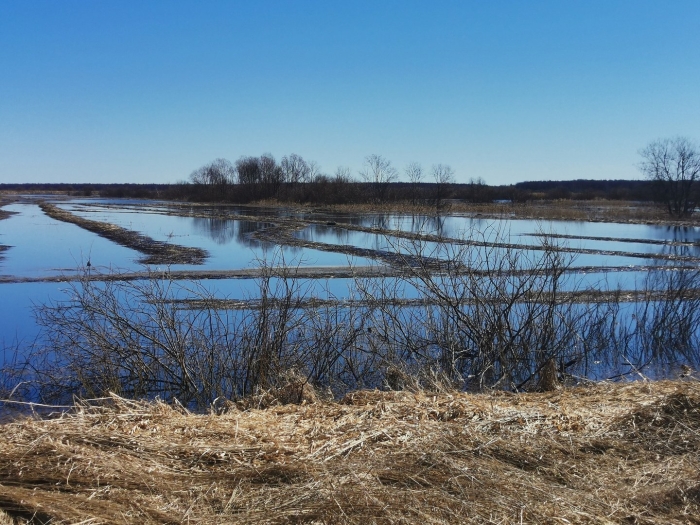 Половодье реки луга
