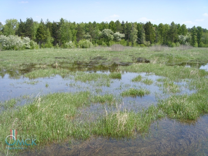 Пойменные заливные луга