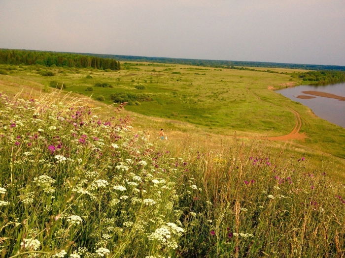 Природа константиново рязанской области