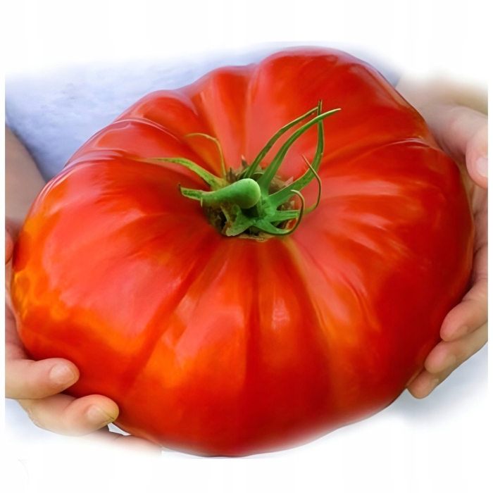 Томат биг грин