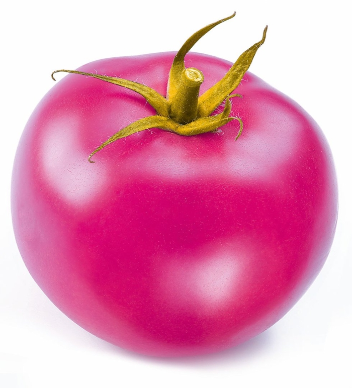 Томат розовый