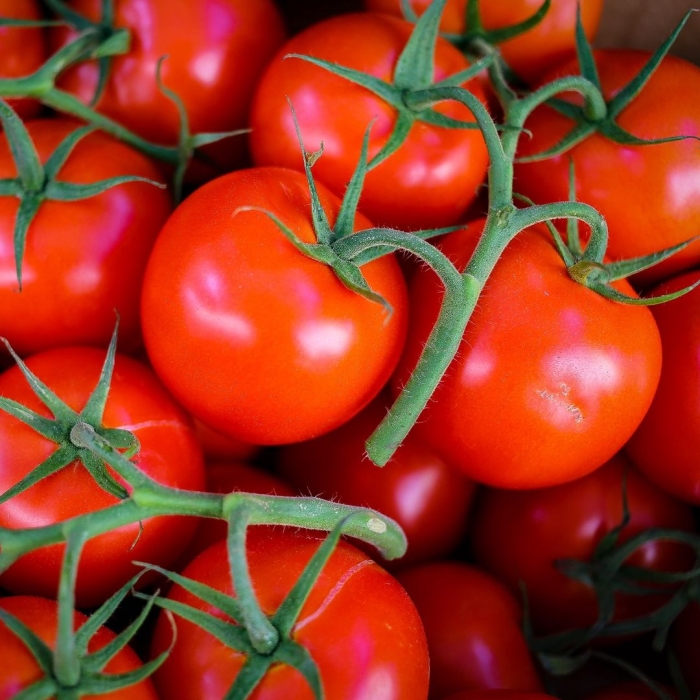 Красивые помидоры