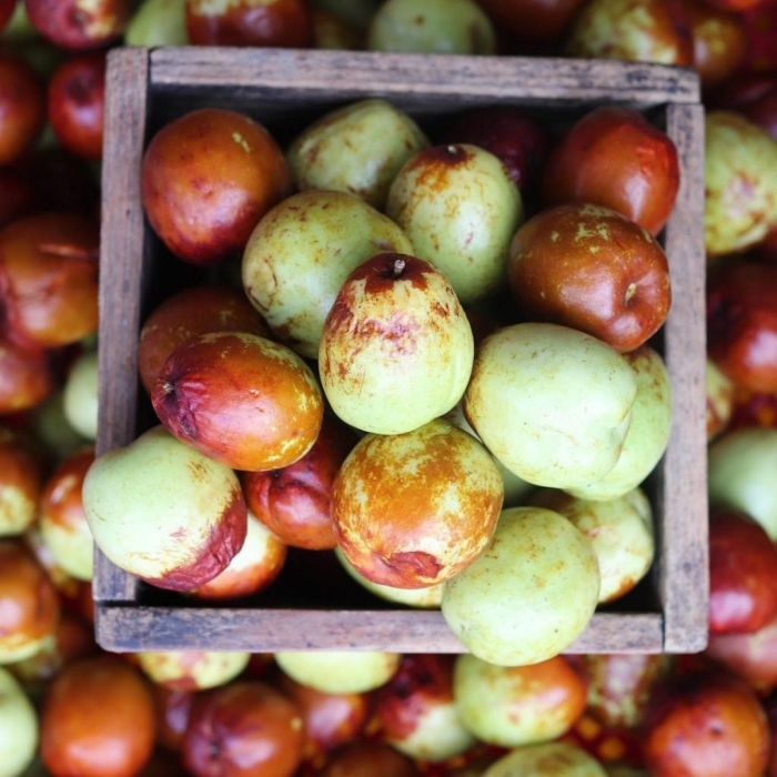 Унаби зизифус