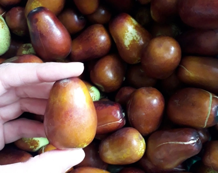 Фрукт зизифус