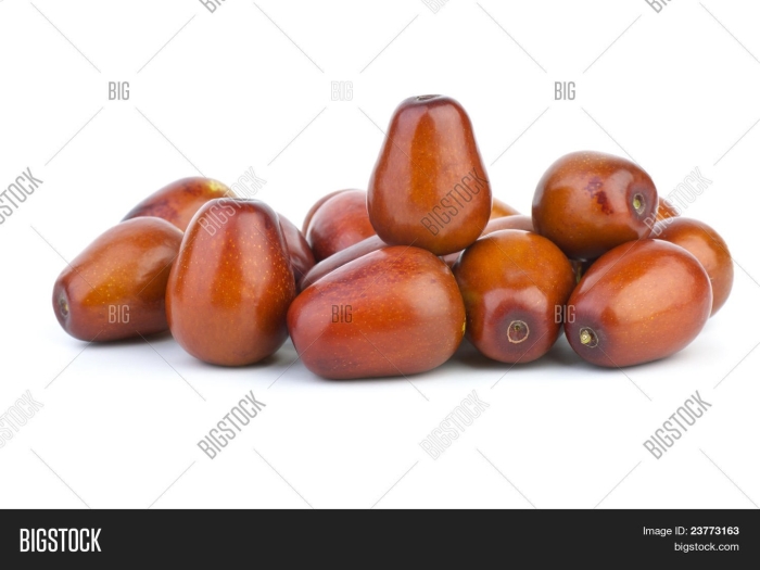 Финик унаби зизифус