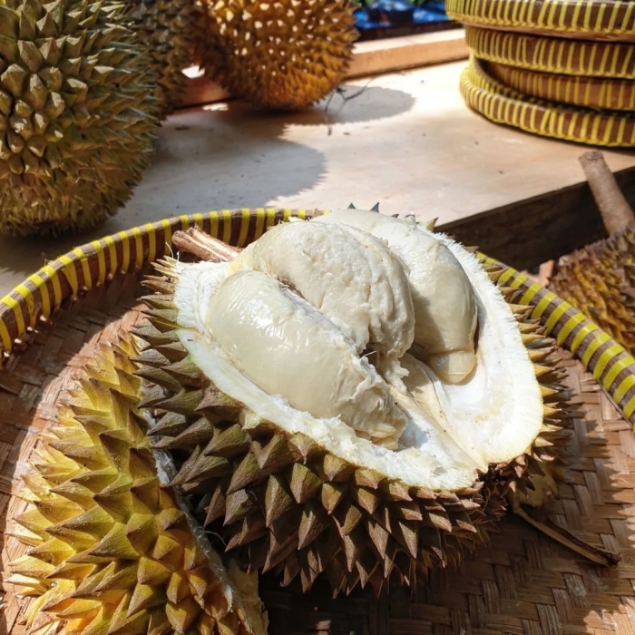 Дуриан сушеный