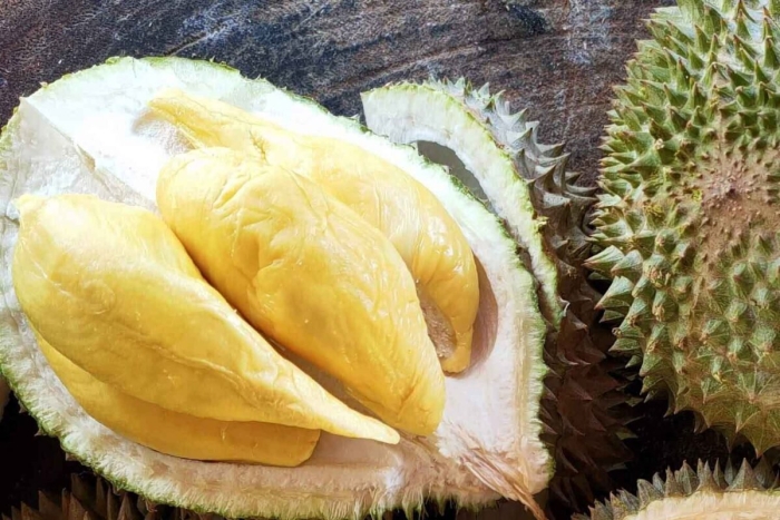 Дуриан цибетиновый