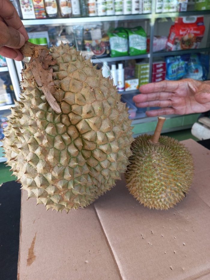 Экзотические фрукт