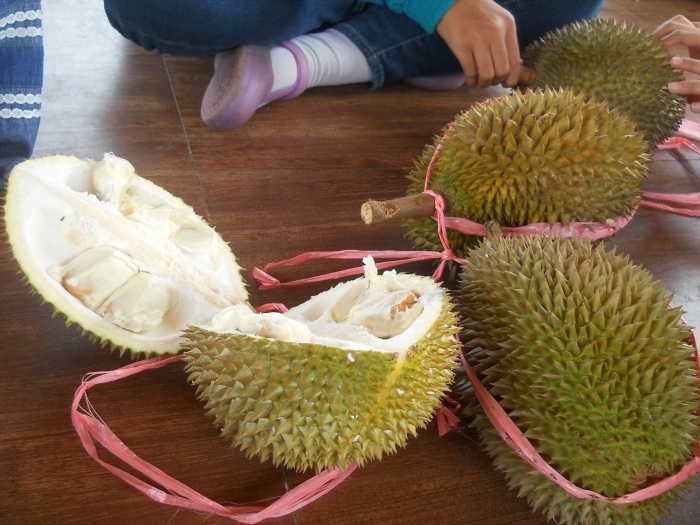 Дуриан фрукт