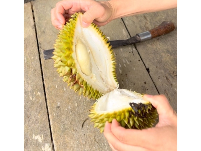 Китайский фрукт дуриан