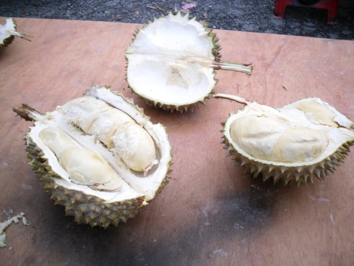 Къял дуриан