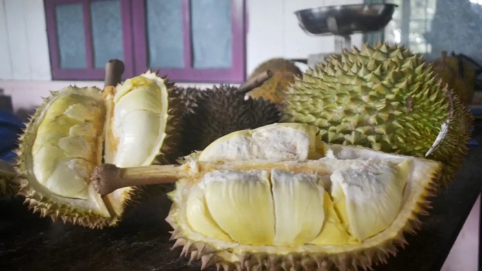 Фрукт похожий на дуриан
