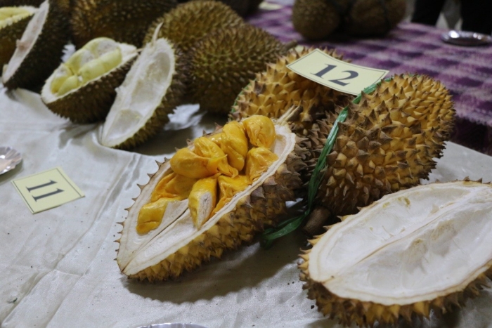 Джек фрукт и дуриан