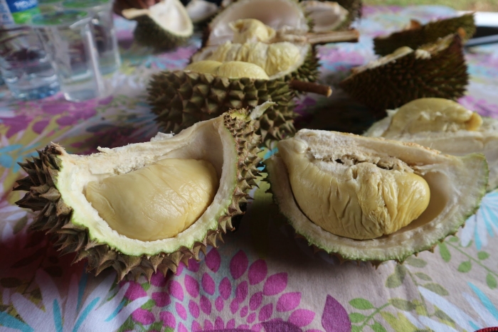 Дуриан семена