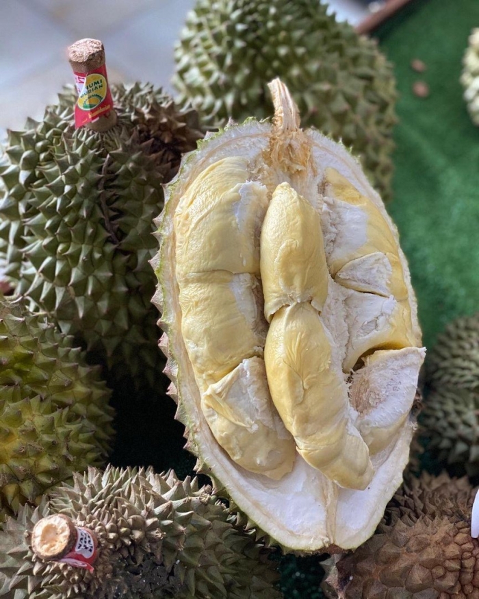 Дуриан тайский фрукт