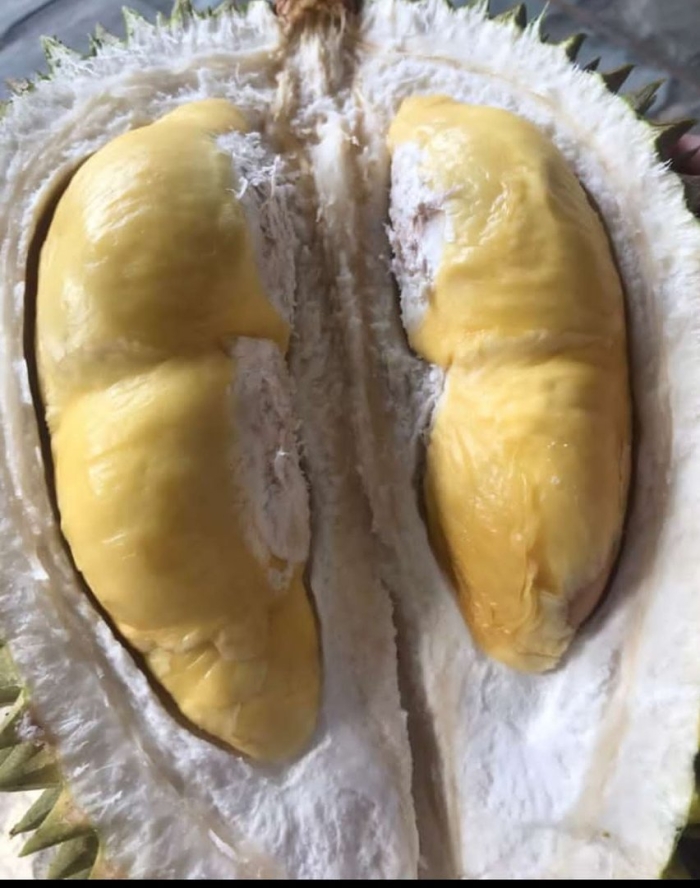 Дуриан фрукт