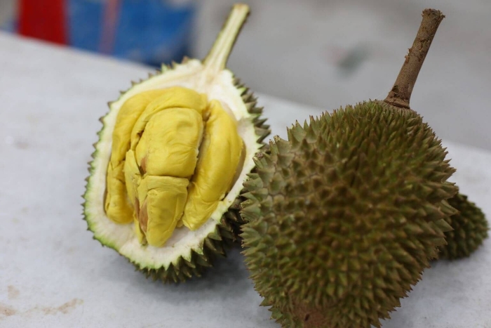 Дуриан цибетиновый